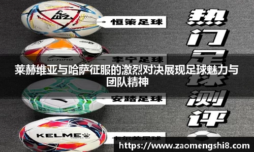 MK体育app