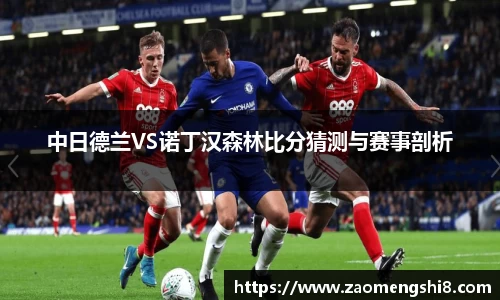 中日德兰VS诺丁汉森林比分猜测与赛事剖析